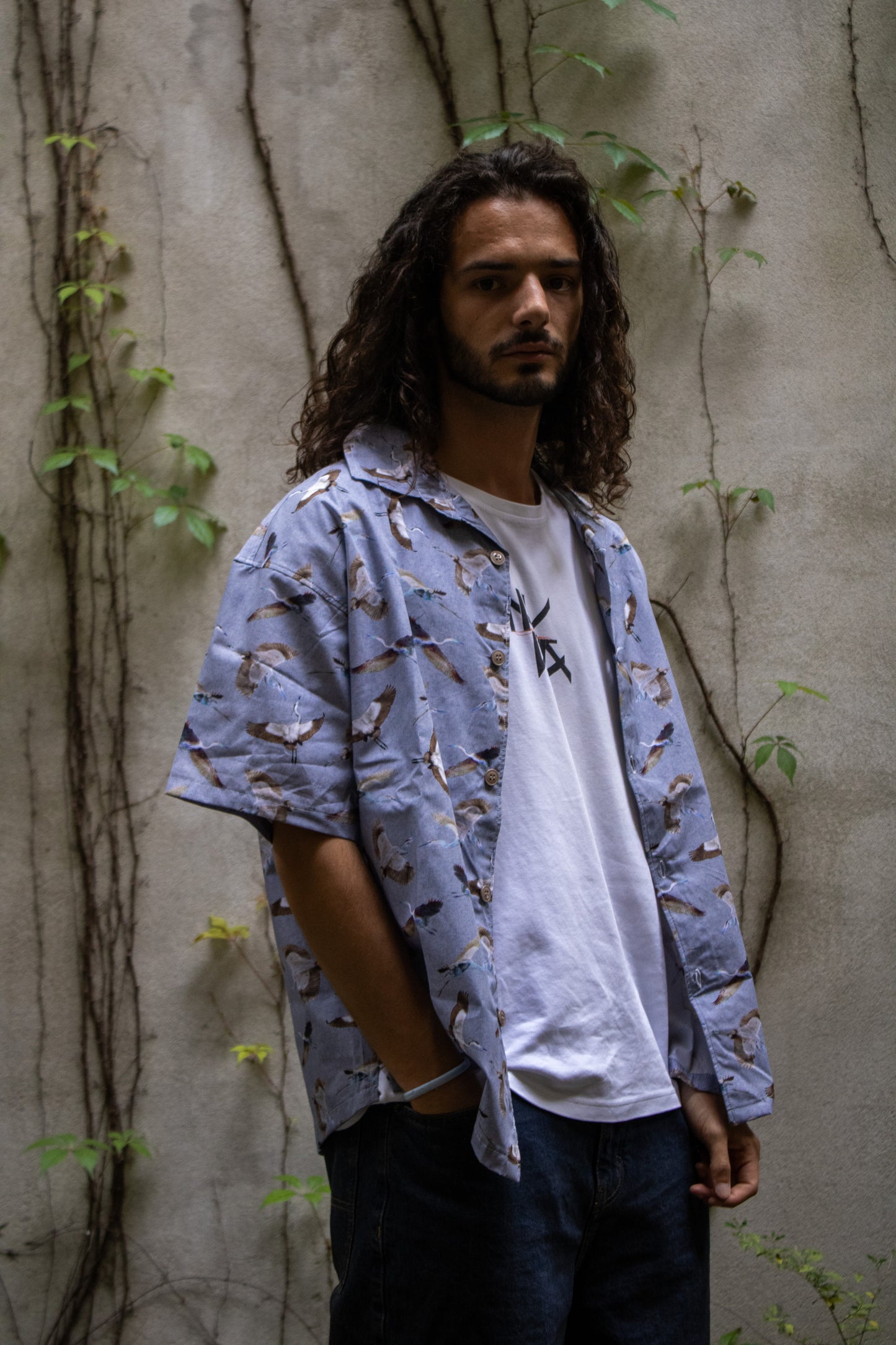 Camisa manga curta estampada birds